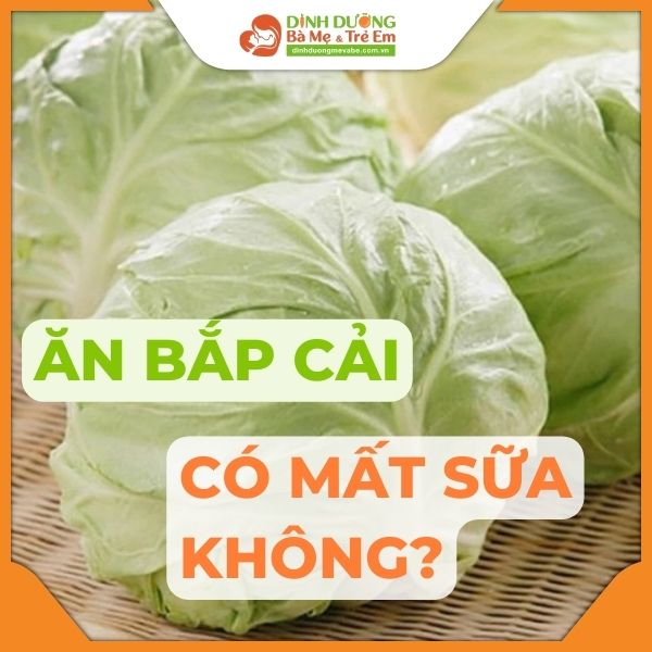 Mẹ Sau Sinh Ăn Bắp Cải Được Không? Tất Cả Những Điều Mẹ Cần Biết