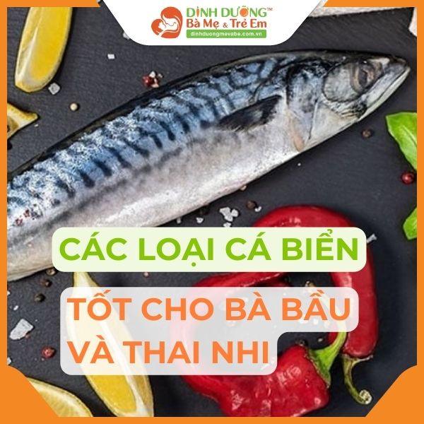 Cá biển tốt cho bà bầu: Lợi ích sức khỏe và những loại cá nên ăn