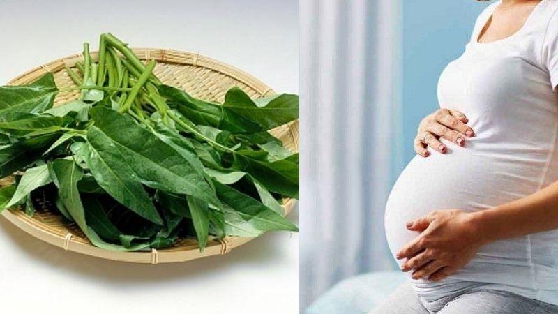 Nên chọn rau muống loại nào để đảm bảo an toàn cho sức khỏe của mẹ bầu và thai nhi?
