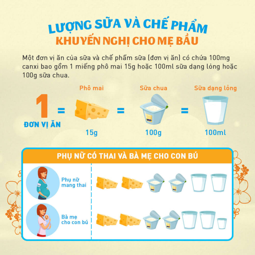 Lượng sữa và các chế phẩm từ sữa khuyến nghị cho phụ nữ mang thai và cho con bú