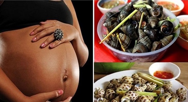 Ăn ốc vào mùa nào là an toàn nhất cho mẹ bầu?
