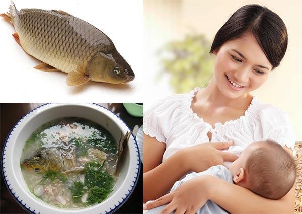 Sau Sinh Nên Ăn Cá Gì? Lợi Ích Và Gợi Ý Loại Cá Tốt Nhất