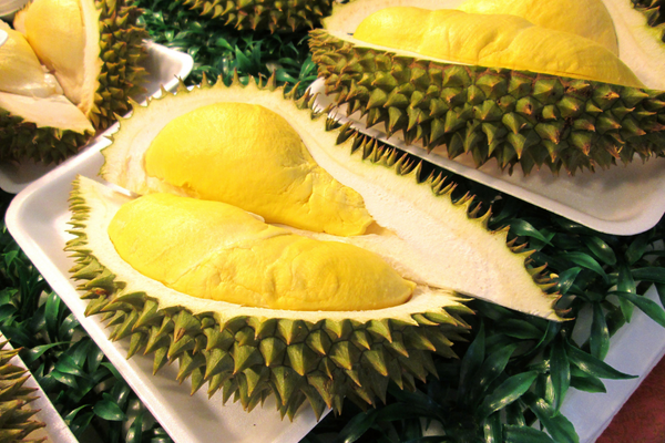 Có thai có thể ăn sầu riêng không?